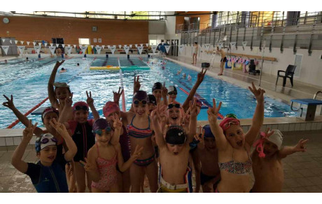 Stage MIX natation/basket